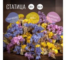 Сухоцветы Статица CRAFTOS для декора и творчества